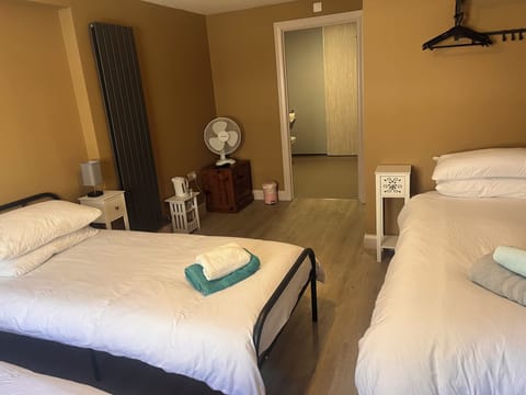 Family Triple Room, 3 Twin Beds, Ensuite, City View | Bathroom | Shower, hydromassage showerhead, free toiletries, hair dryer