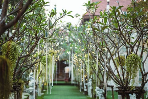 Outdoor wedding area