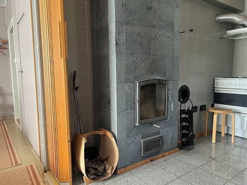 Family House, Mountain View | Living area | 50-cm flat-screen TV with digital channels, fireplace, heated floors