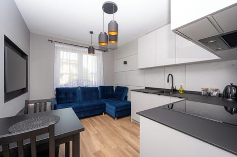 Comfort Apartment | Living room