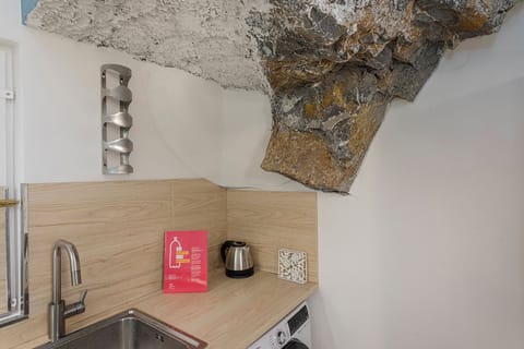 Apartment, Canal View | Private kitchen | Fridge, microwave, oven, stovetop