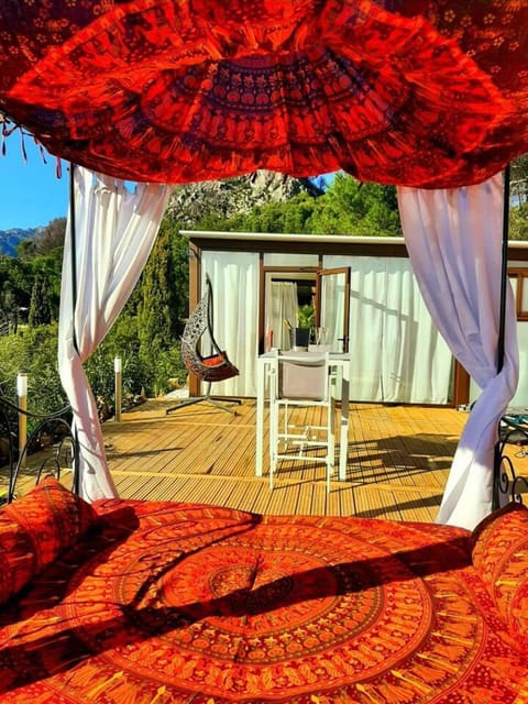 House | Property grounds