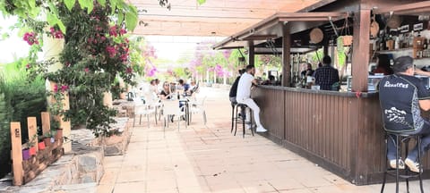 House | Bar (on property)