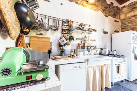 Fridge, oven, stovetop, coffee/tea maker