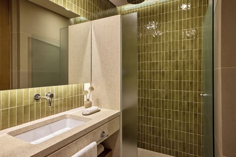 Shower, eco-friendly toiletries, hair dryer, bathrobes