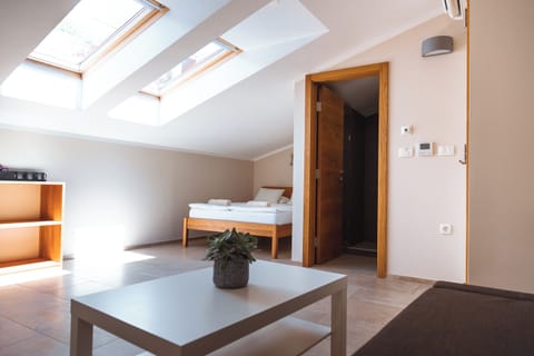 Basic Triple Room | Iron/ironing board, free WiFi