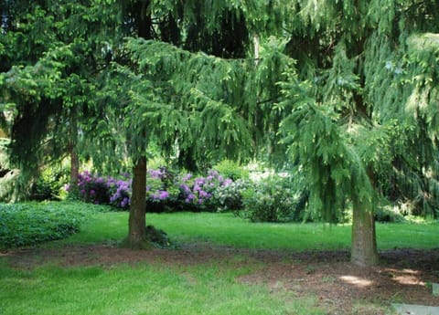 Villa | View from property