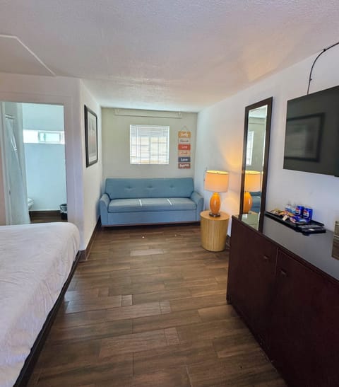 Deluxe Single Room, 1 King Bed with Sofa bed | Individually decorated, individually furnished, bed sheets