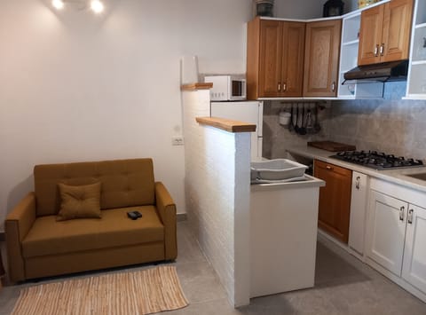 Apartment (Guest House Green Corner Supetarska D) | Living room | 32-inch flat-screen TV with satellite channels