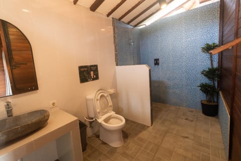 Shower, bidet, towels, toilet paper