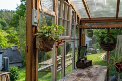 Cabin | Interior