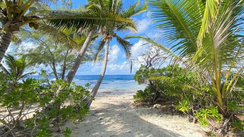 Beach nearby, white sand, beach towels