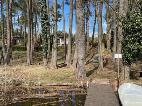 House | View from property