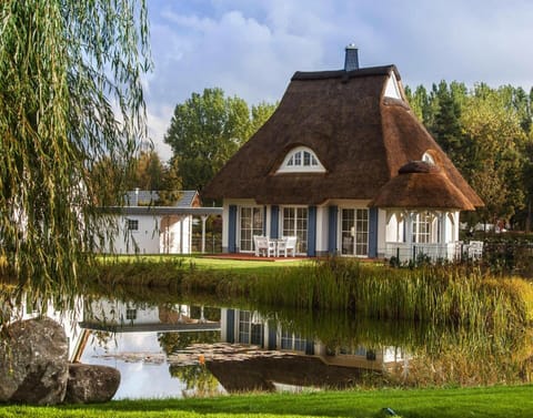 House | View from property