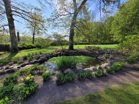 House | Property grounds