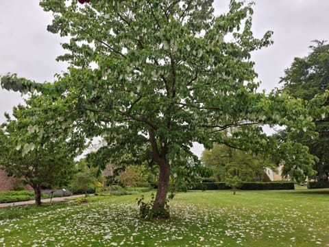 House | Property grounds