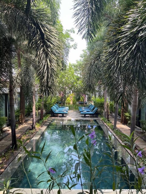 Outdoor pool, sun loungers