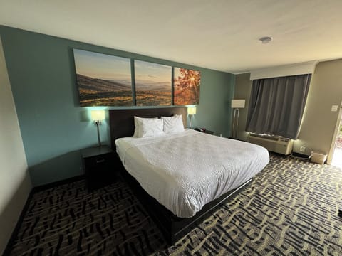 Basic Single Room | Premium bedding, down comforters, pillowtop beds, individually furnished