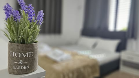 House | 1 bedroom