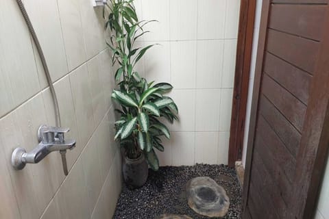 Standard Suite | Bathroom | Shower