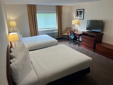 Studio Suite, Multiple Beds | Desk, laptop workspace, free WiFi, bed sheets