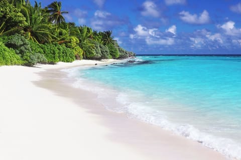 Beach nearby, white sand