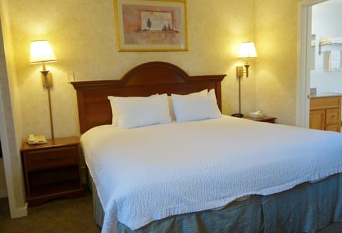 Room, 1 King Bed, Non Smoking | Iron/ironing board, free cribs/infant beds, rollaway beds, free WiFi