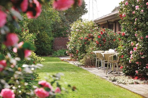 Garden Suite | View from room