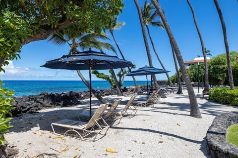 Condo, 1 Queen Bed with Sofa bed (Kona Isle B3) | Property grounds