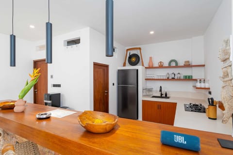 Basic Villa | Private kitchen | Fridge, microwave, stovetop, electric kettle