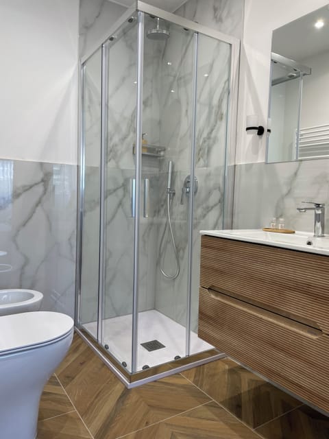 Shower, hair dryer, bidet, towels