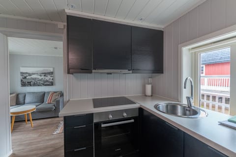 RORBU Standard /Fishermans cabin | Private kitchen