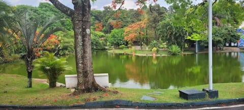 Lake view