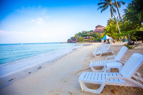 On the beach, beach umbrellas, beach bar