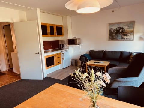 Studio | Private kitchen | Fridge, microwave, oven, stovetop