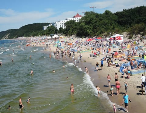 House | View from property