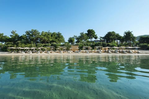 House | Water view