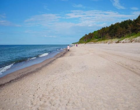 Apartment | View from property