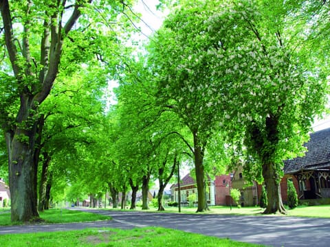 Apartment | Exterior