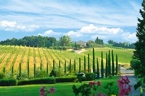 Apartment | View from property