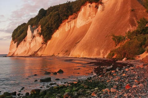 Apartment | View from property