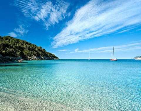 Apartment | View from property