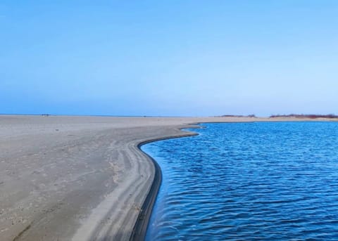 House | View from property