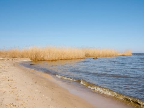 House | View from property