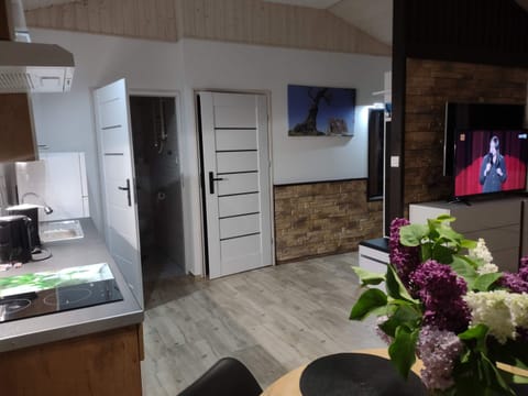 House | Private kitchen | Electric kettle