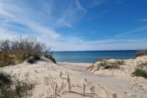 House | View from property