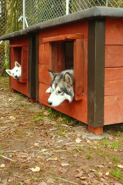 Apartment | Exterior