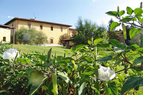 Apartment | Exterior