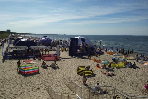 House | Property grounds