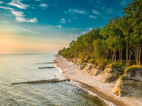 House | View from property